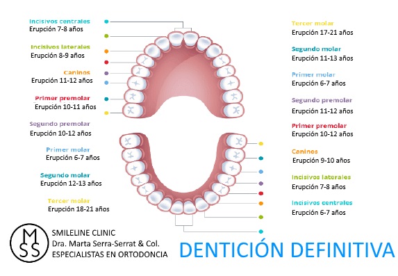 SMILELINE CLINIC - DRA.MARTA-SERRA-SERRAT - ESPECIALISTAS EN ORTODONCIA - 